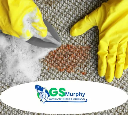 GS Murphy Carpet Cleaning